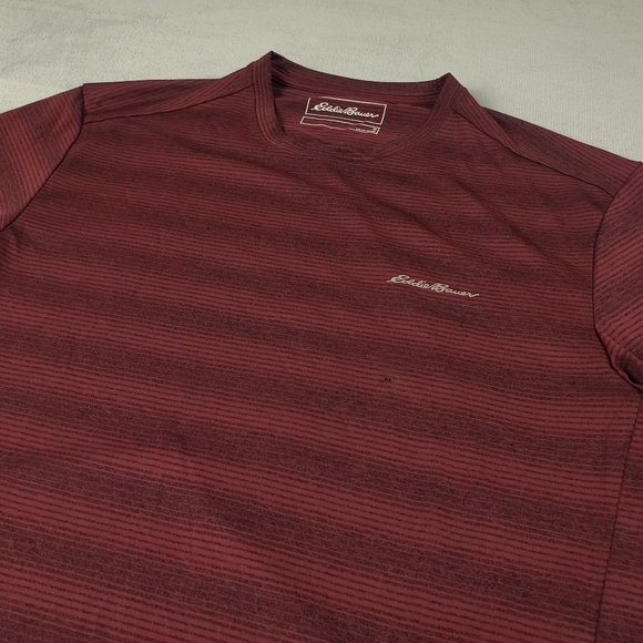 Eddie Bauer T Shirt Mens Medium FreeDry Polyester Striped Hiking Active Wicking - Picture 5 of 8